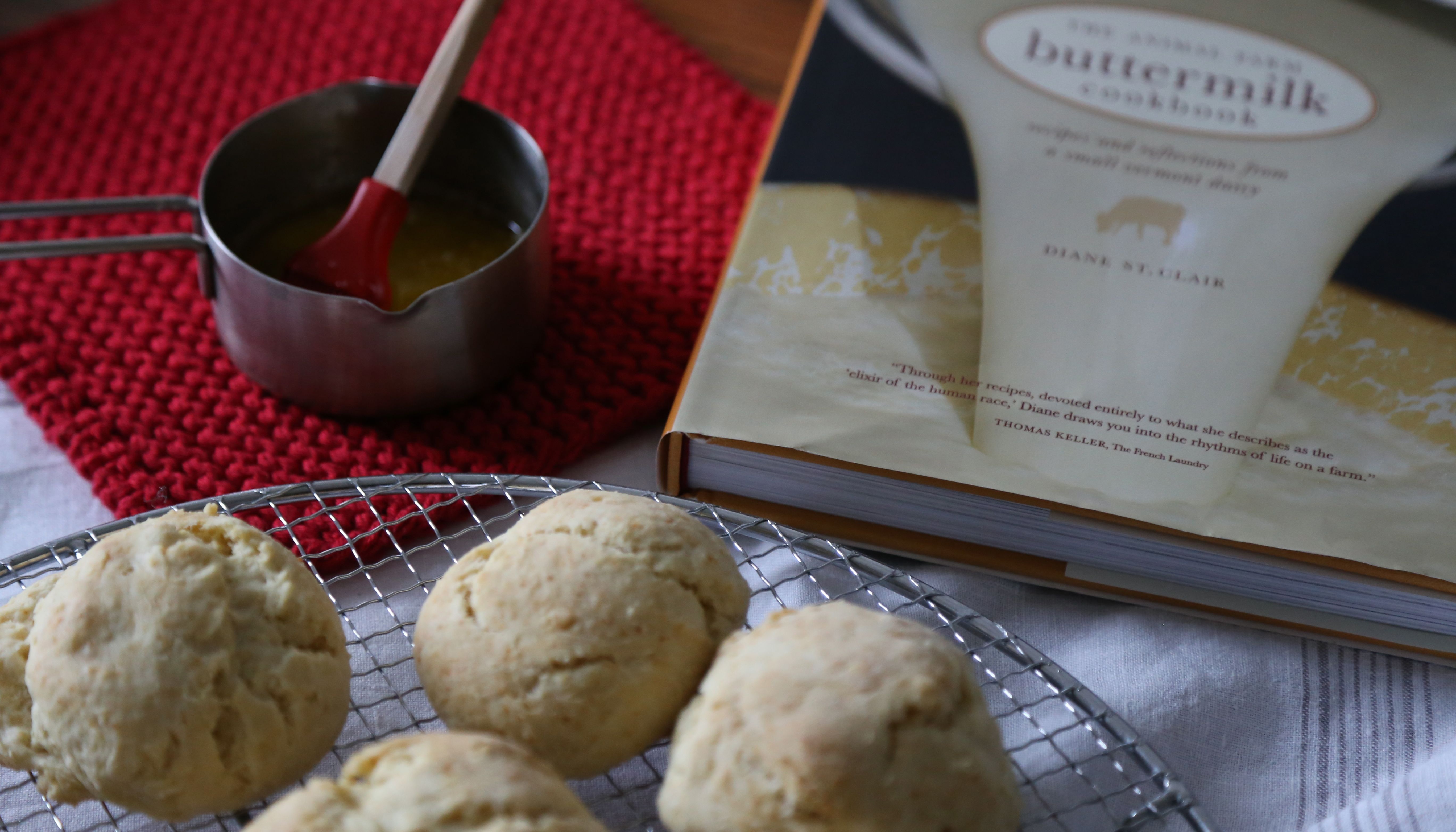 Buttermilch ‚Biscuits‘ – Kochkultur