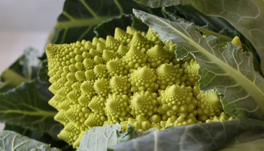 Romanesco in Tomatensauce, ein schnelles Abendessen