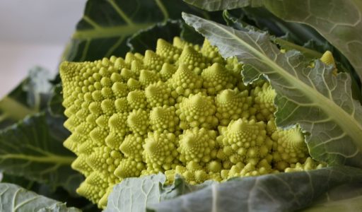 Romanesco in Tomatensauce, ein schnelles Abendessen